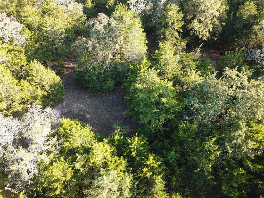 6420 Clay Pit Road - Photo 1