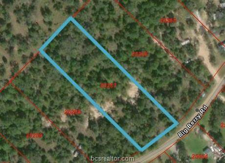 1740 Big Berry - Photo 1