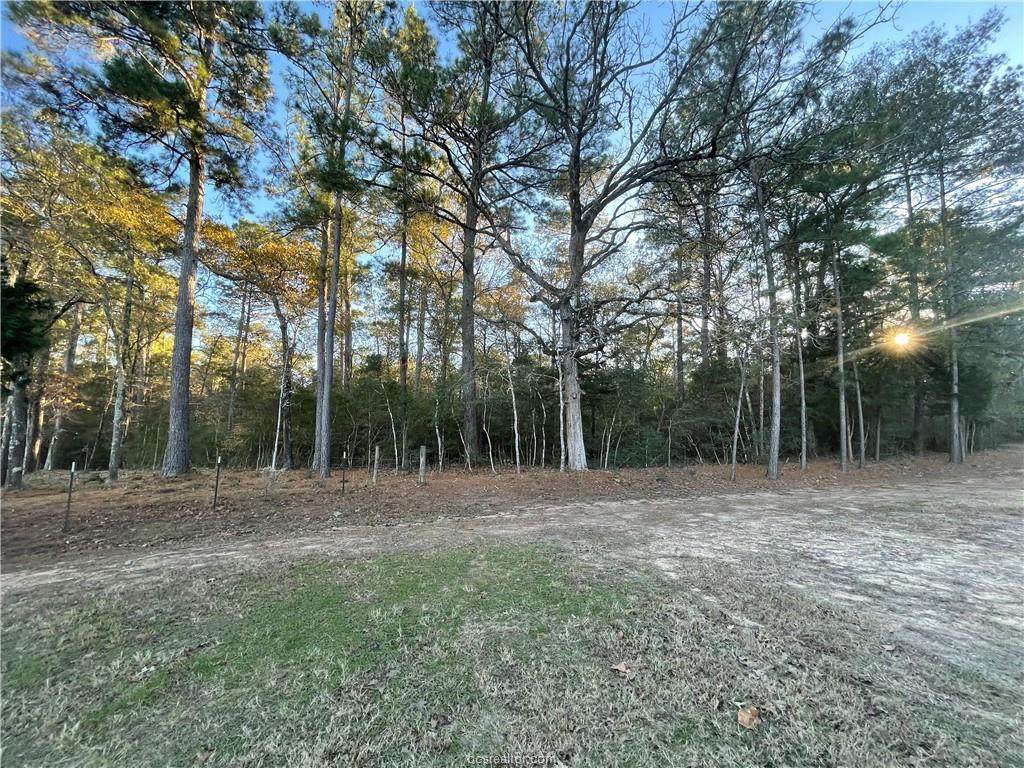 TBD Mohawk Court - Photo 1