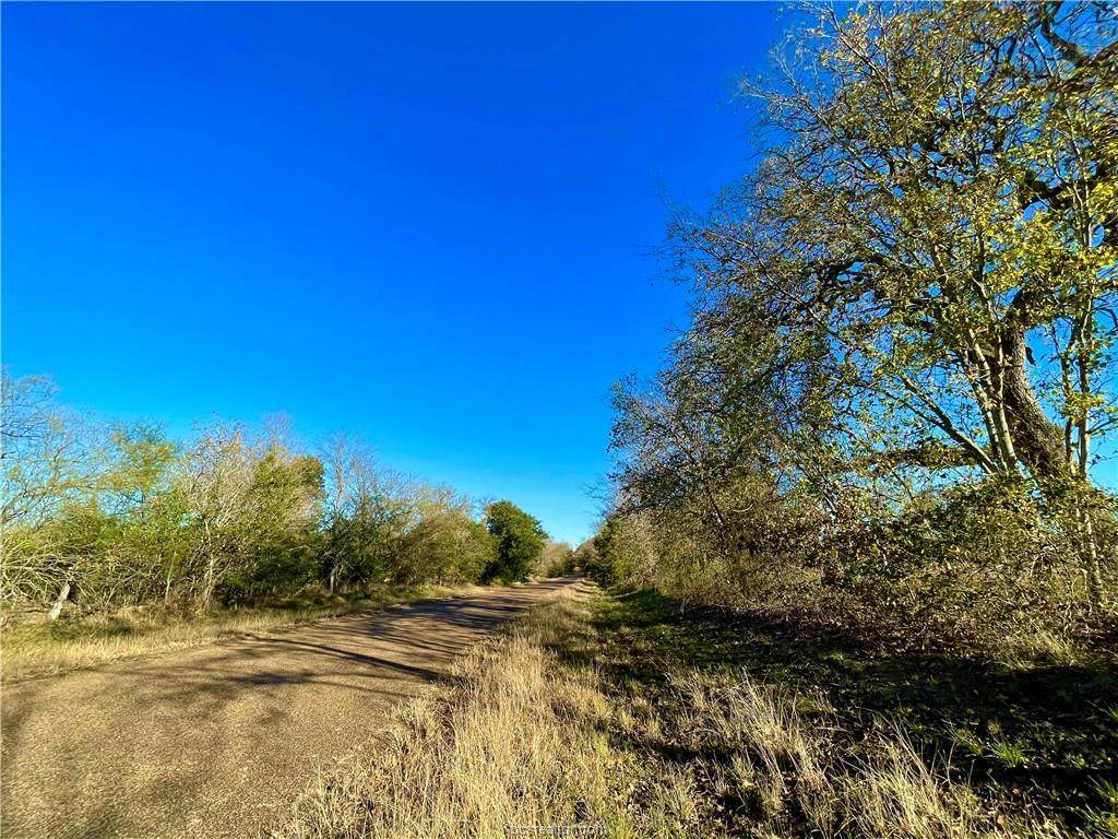 (+/-14 ac) TBD Sunnyside Rd - Photo 1