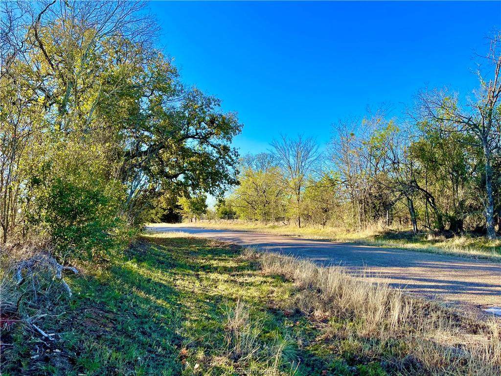 (+/-17.5 ac) TBD Sunnyside Rd - Photo 1