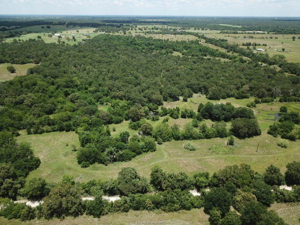 4641 County Road 129 County Road - Photo 1