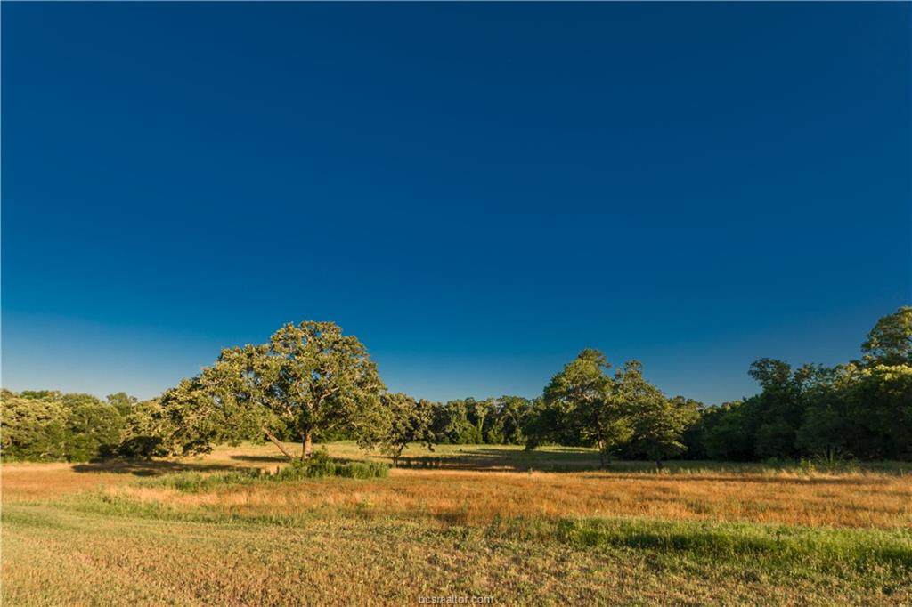 1602 Millican Meadows Circle - Photo 1