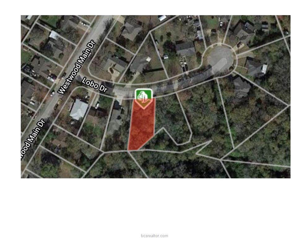 2207 Lobo Drive - Photo 1
