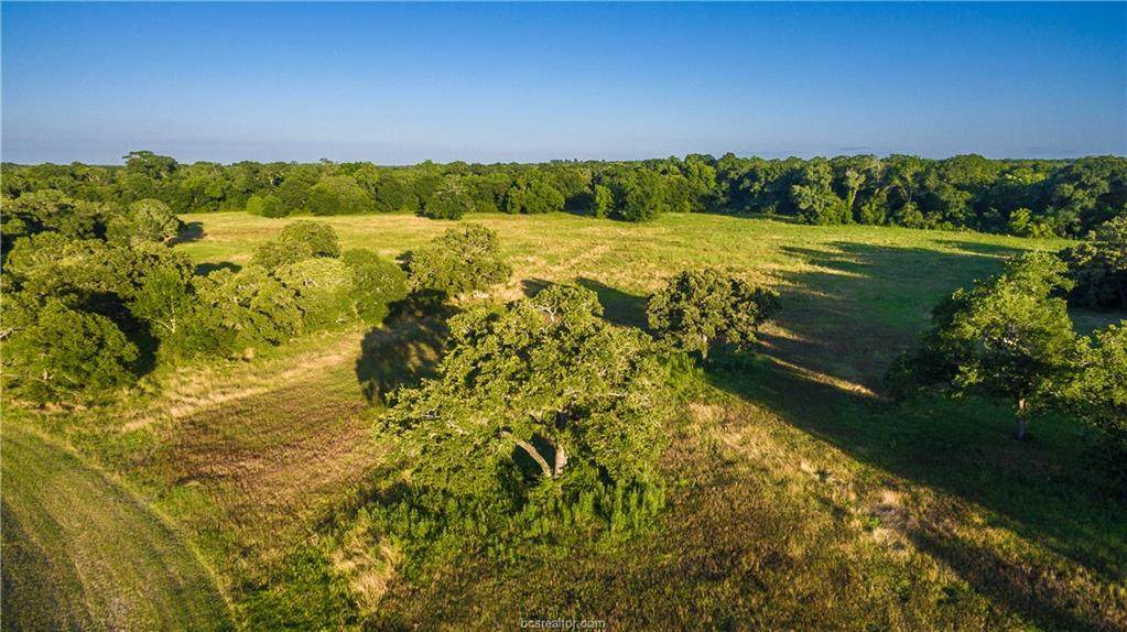 19351 Moonlit Hollow Loop - Photo 1