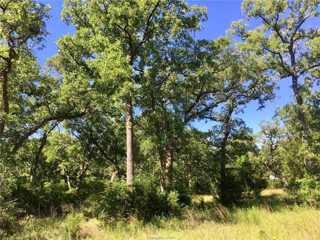 9863 Chelsea Drive - Photo 1