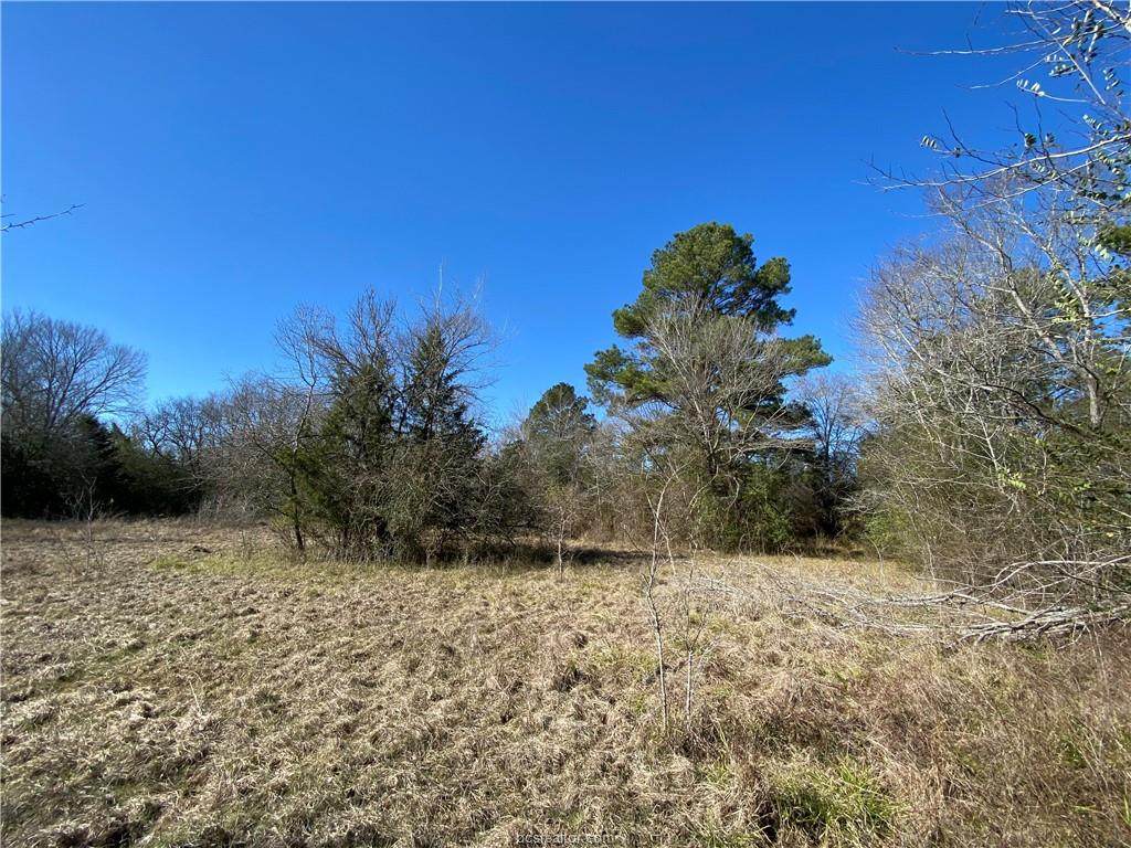 TBD County Road 261 - Photo 1