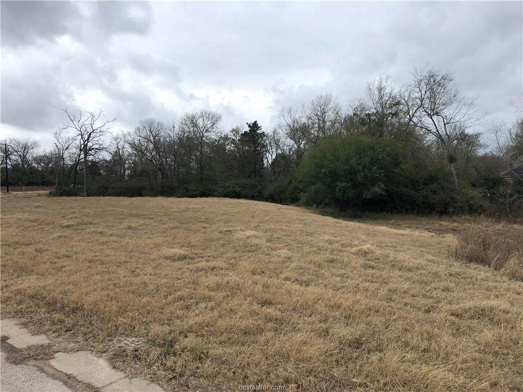 3900 Hideout Cove - Photo 1