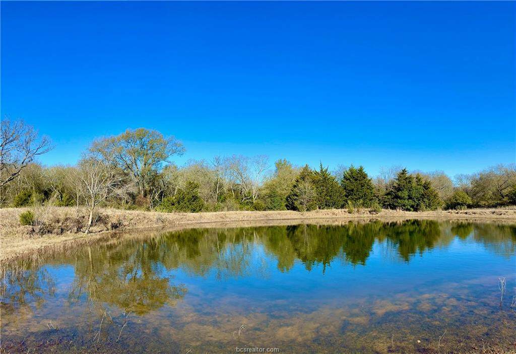 (+/-28 ac) TBD Grant Prairie Road - Photo 1