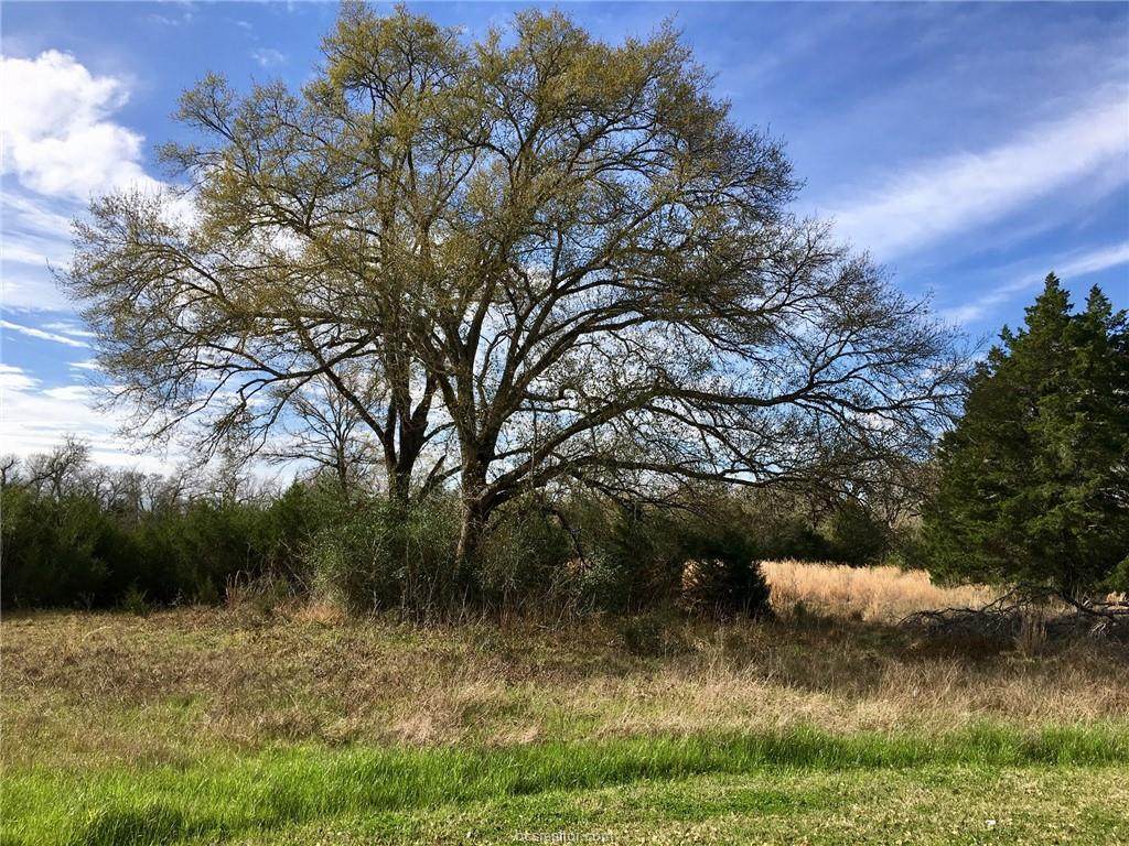 9905 Scarborough Drive - Photo 1