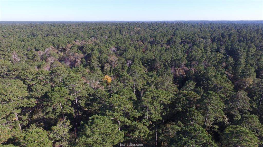 1-1-39 Texas Grand Road - Photo 1