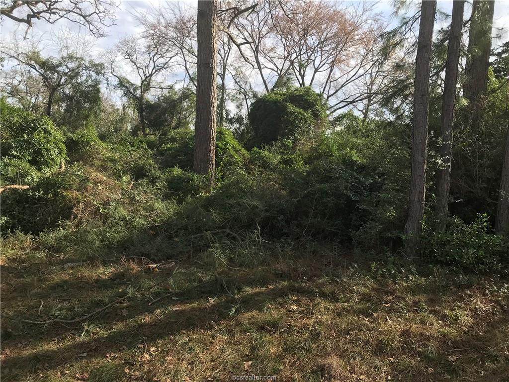 27 Eden Rock Lane - Photo 1