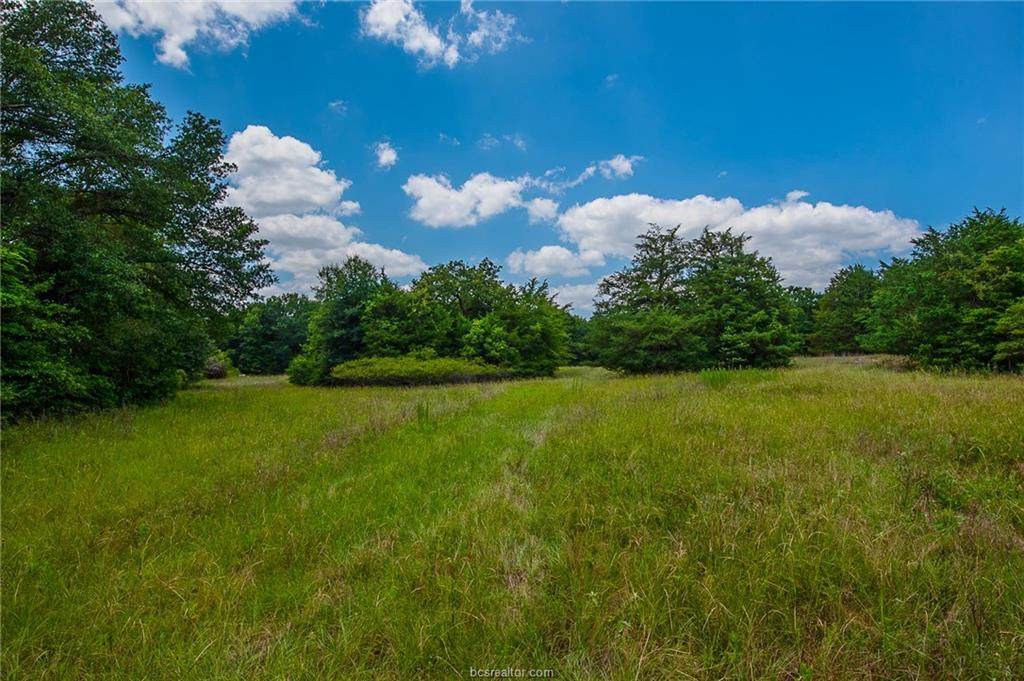 8728 County Road 318 - Photo 1