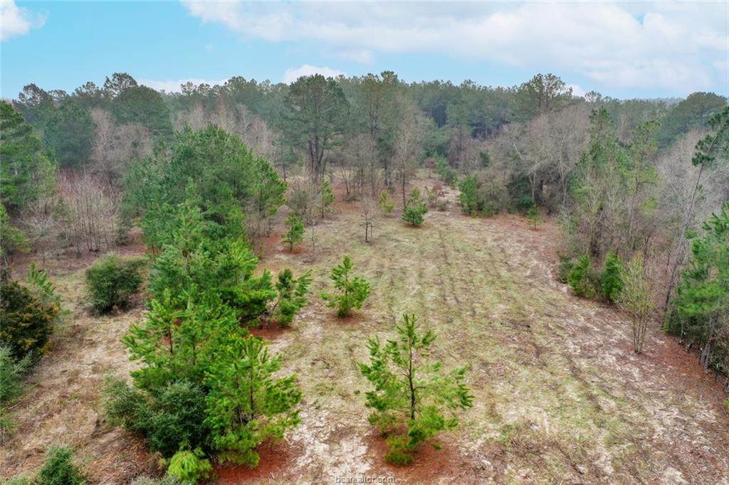 9841 Tanyard Church Lane - Photo 1