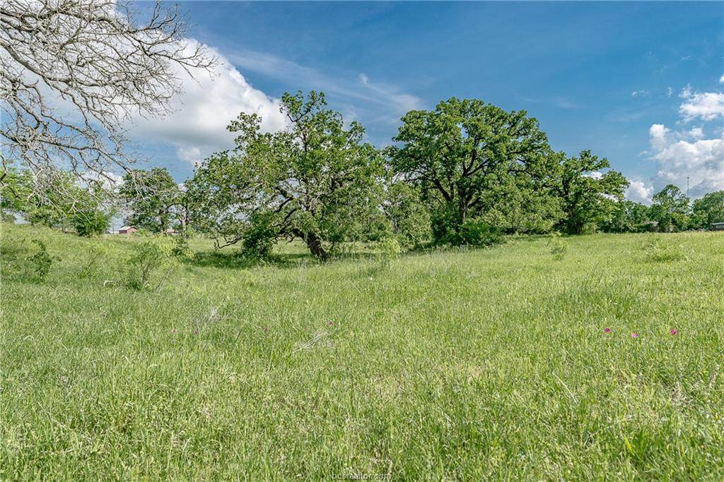 34.12 Old Springfield Road County Road - Photo 1