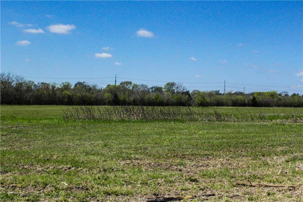 Lot 8 County Road 220 - Photo 1