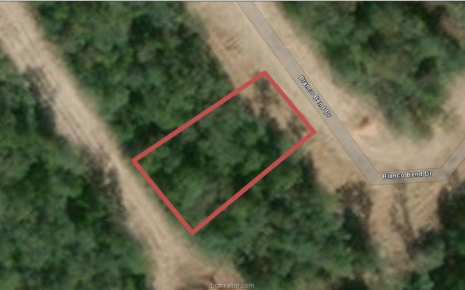 1725 Blanco Bend Drive - Photo 1