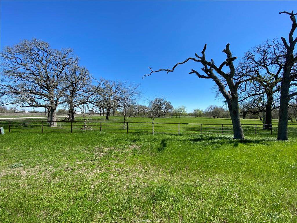 10724 Forsthoff Drive - Photo 1