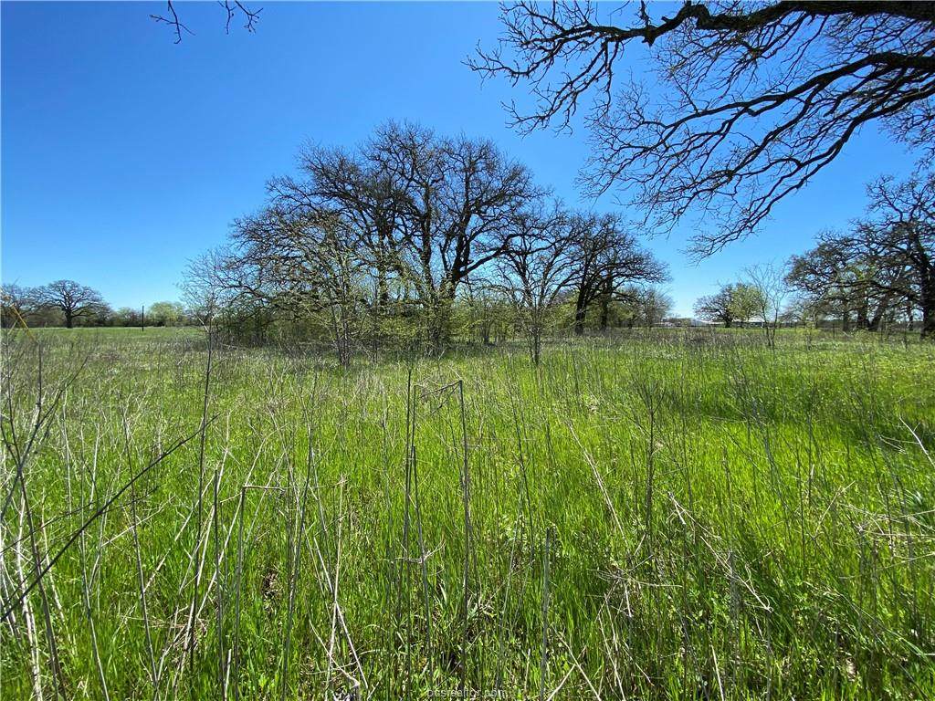 10758 Forsthoff - Photo 1