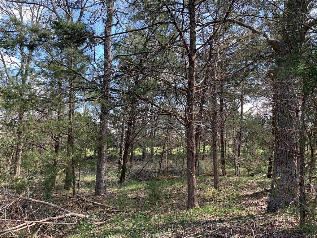7843 County Road 125 - Photo 1