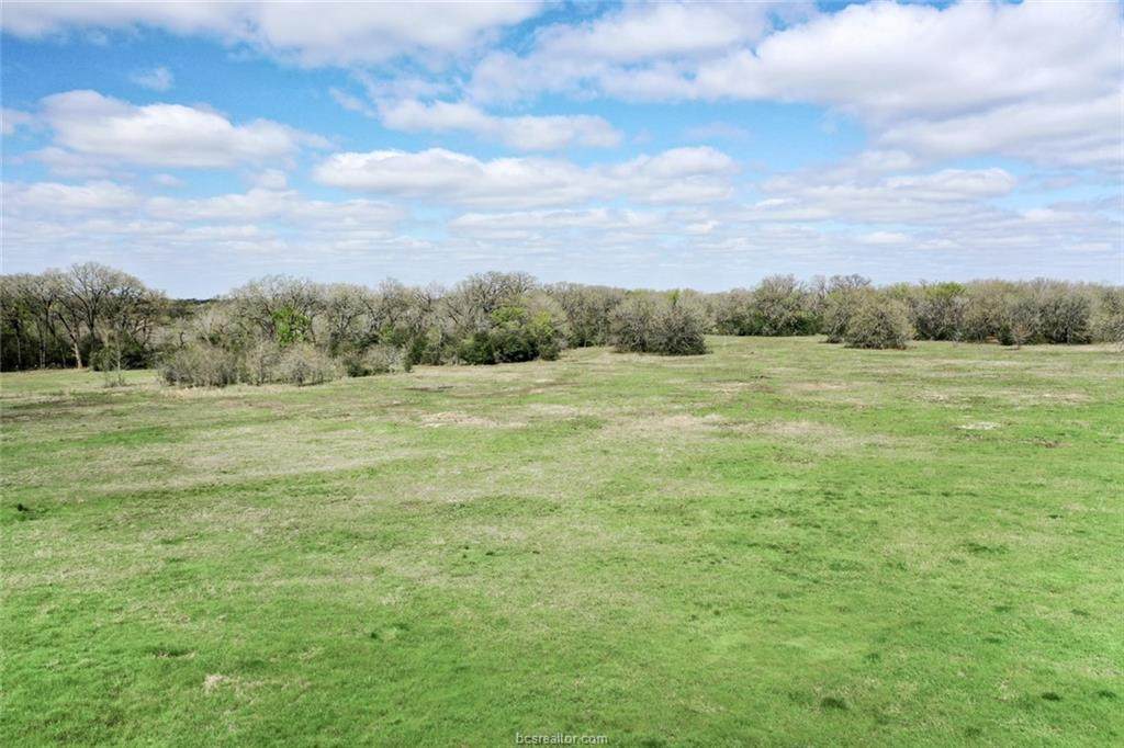 2803 Fm 2158 Farm To Market Road - Photo 1