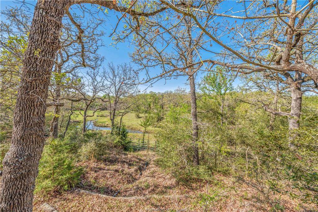 1409 Peach Creek Cut Off Road - Photo 1