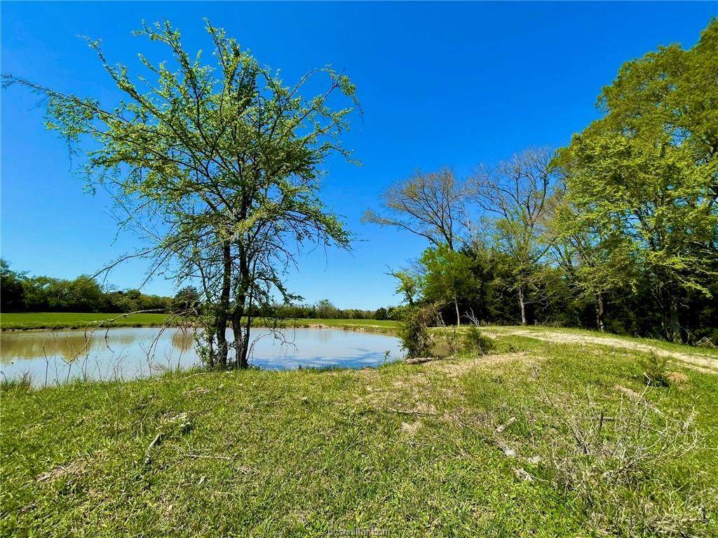 (+/-55 ac) TBD Cr 271 - Photo 1