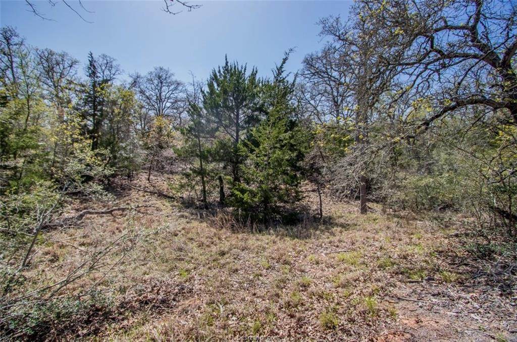 203 Mesquite Trail - Photo 1