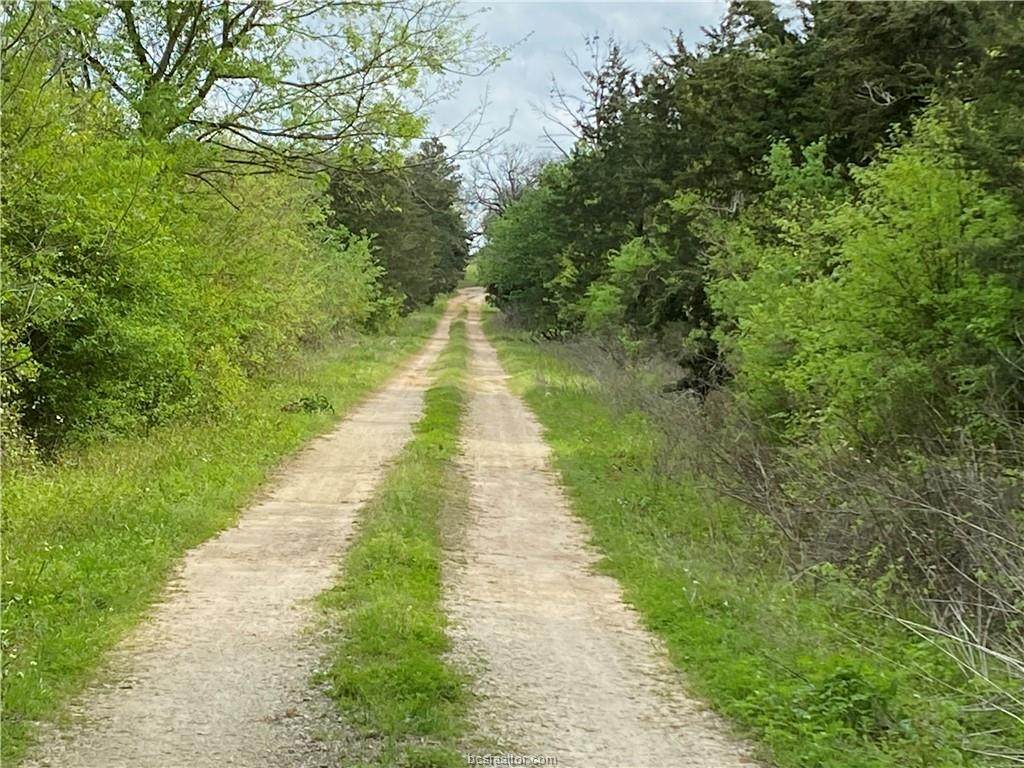 14547 Batson Loop - Photo 1