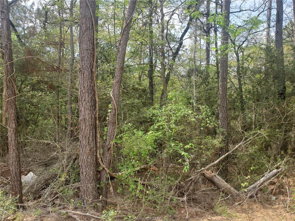 Lot 4 Scarlet Oak Dr. - Photo 1