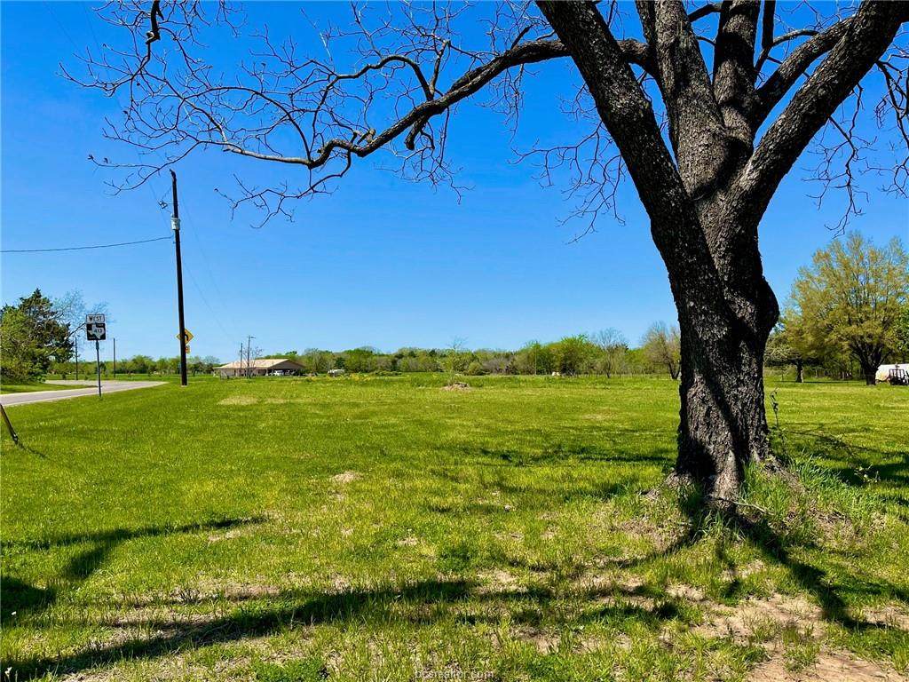 (+/-3.03ac) TBD Hwy 14 And Fm 413 - Photo 1