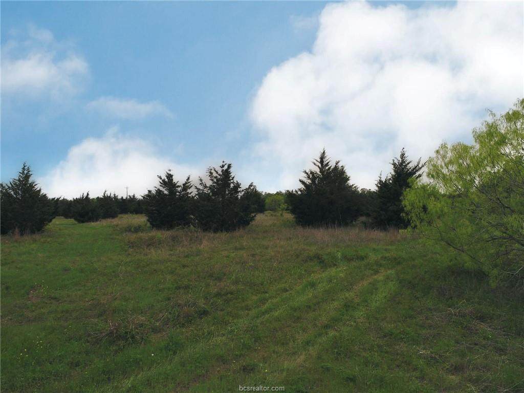 TBD-Tract 2 Cr 315 - Photo 1