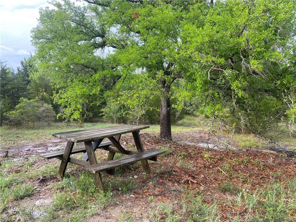 0000 Lone Star Road - Photo 1