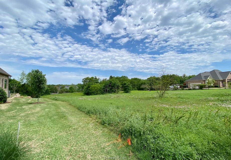 3205 Pinyon Creek Drive - Photo 1