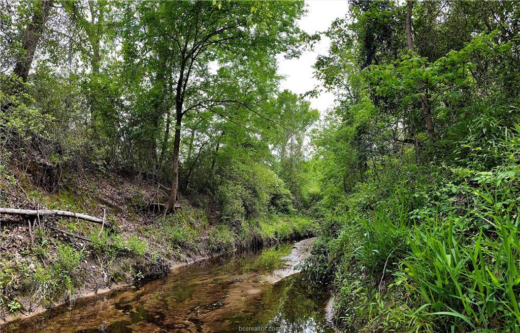 26 acres Old Boone Prairie Rd. - Photo 1