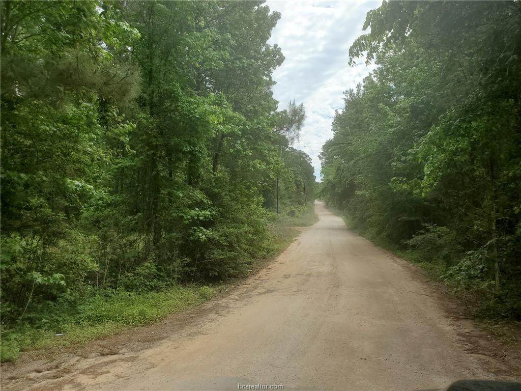 Lot 2 Magnolia Springs - Photo 1