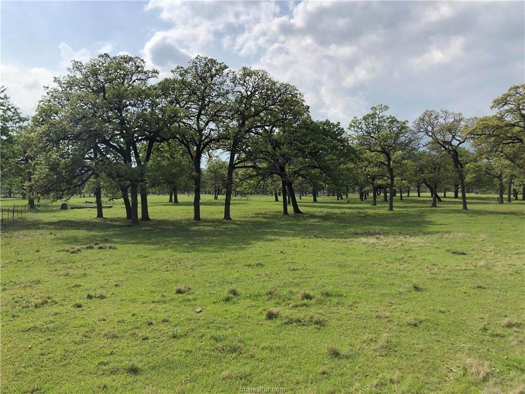 0000 Peach Creek Rd - Photo 1