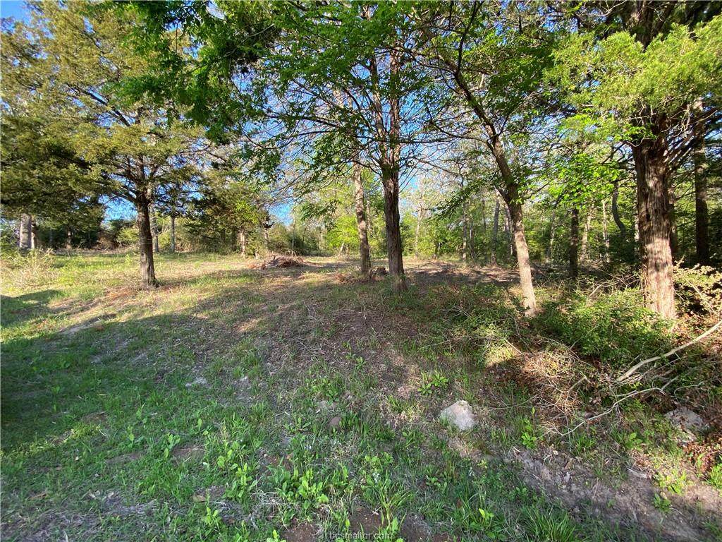 0000 Lakeview - Photo 1