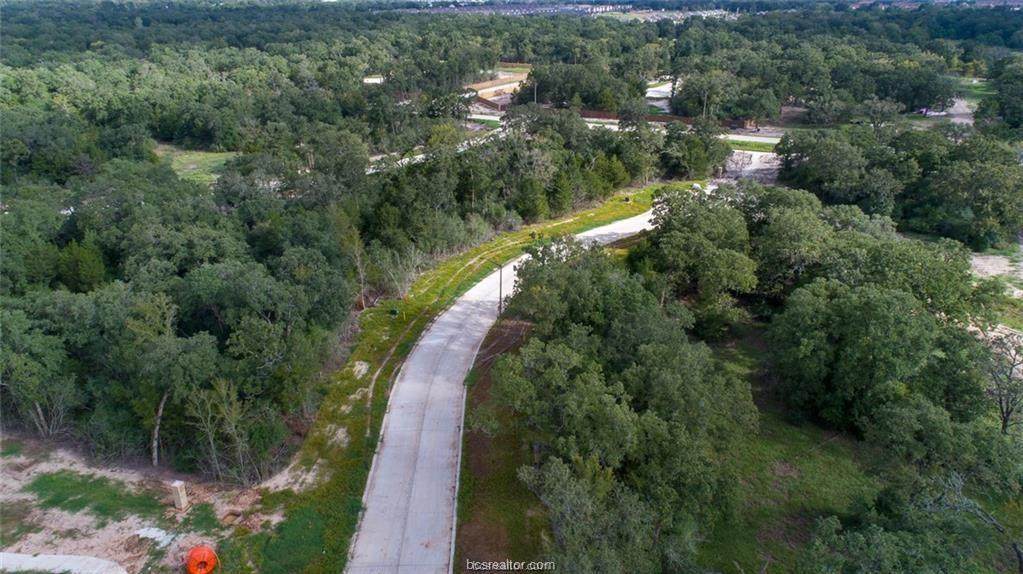 1728 Blanco Bend Drive - Photo 1