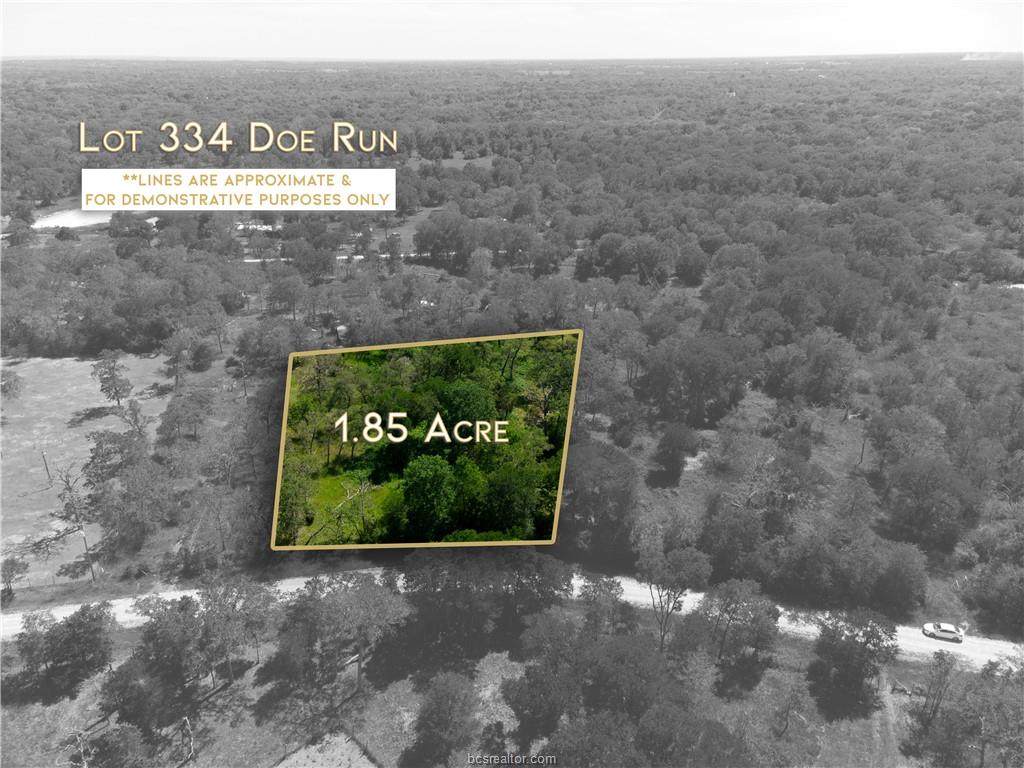 334 Doe Run - Photo 1