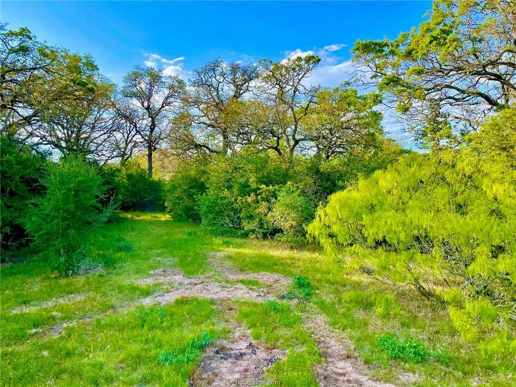 Lot 17 County Road Tbd - Photo 1