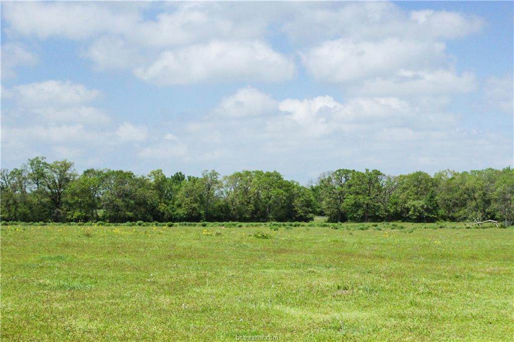 0125 County Road 229 - Photo 1
