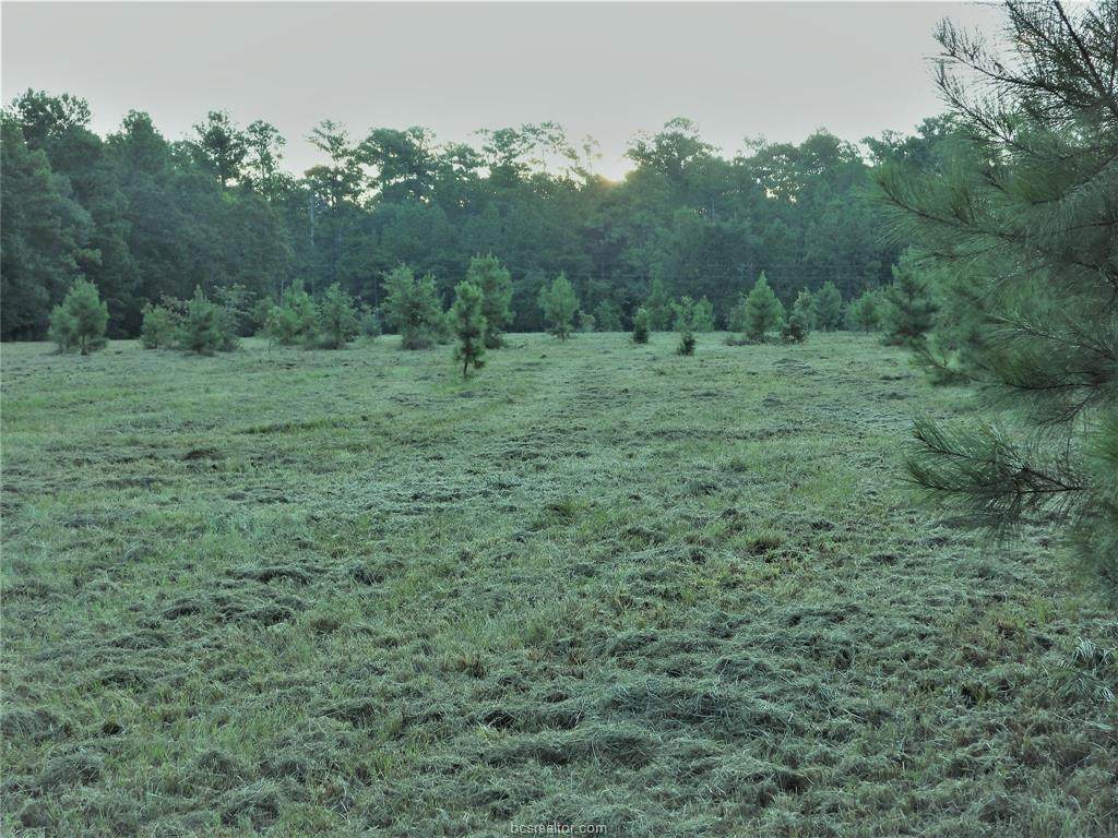 18957 Bethel Road - Photo 1