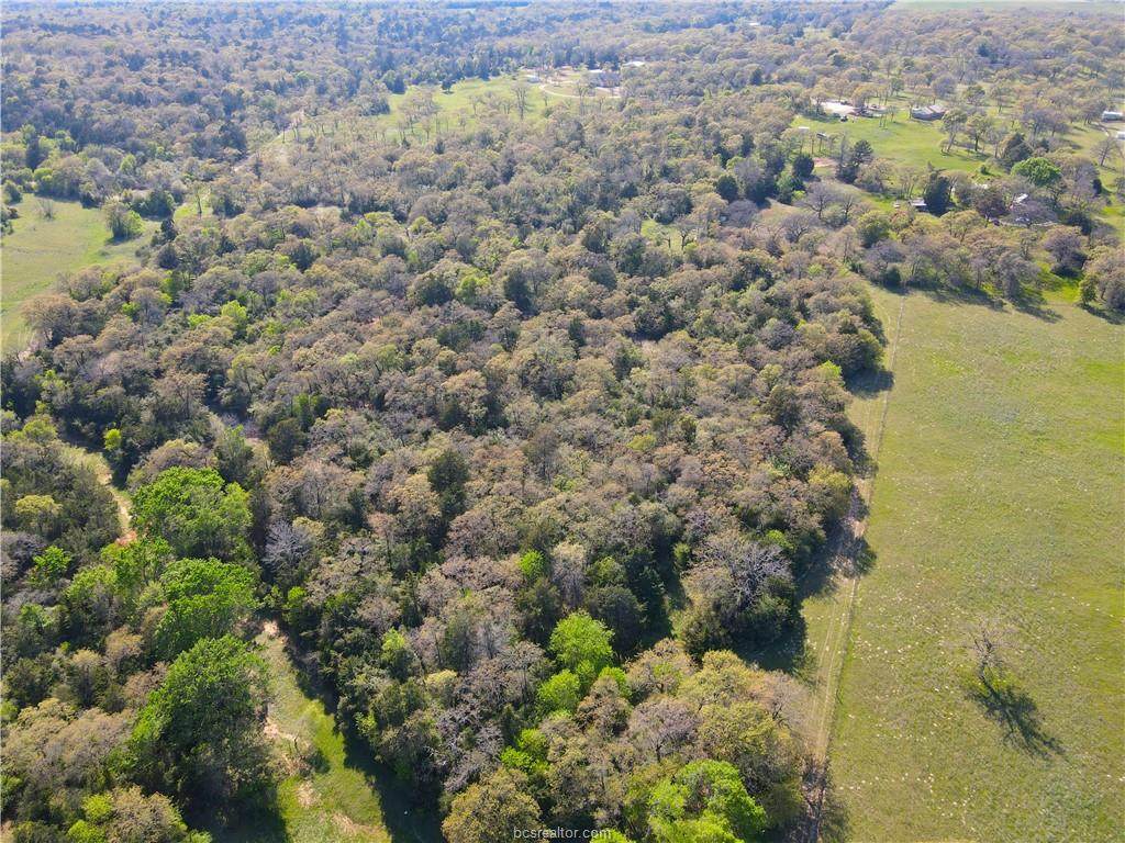 TBD County Road 238A Lot 14 - Photo 1