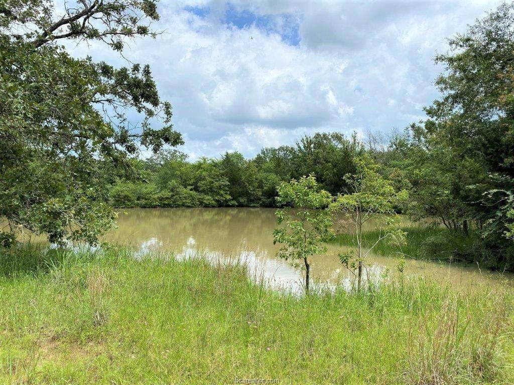 (+/- 76 ac) 12200 Winn Road - Photo 1