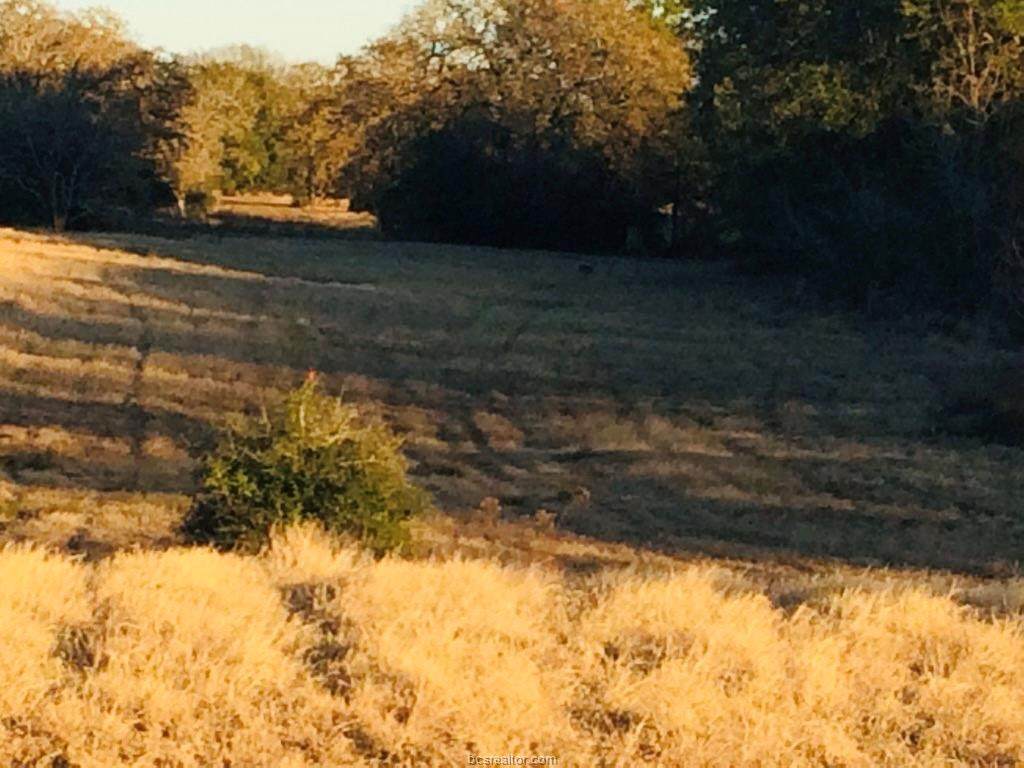 TBD County Road 324 - Photo 1