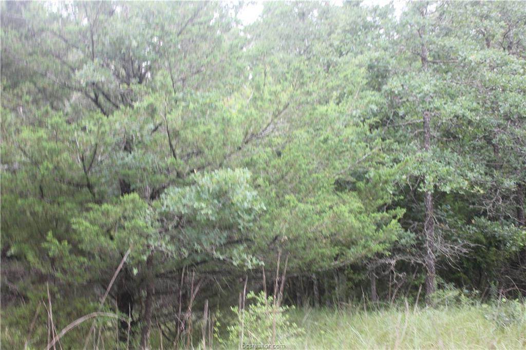 TBD Rose Hill Rd - Photo 1