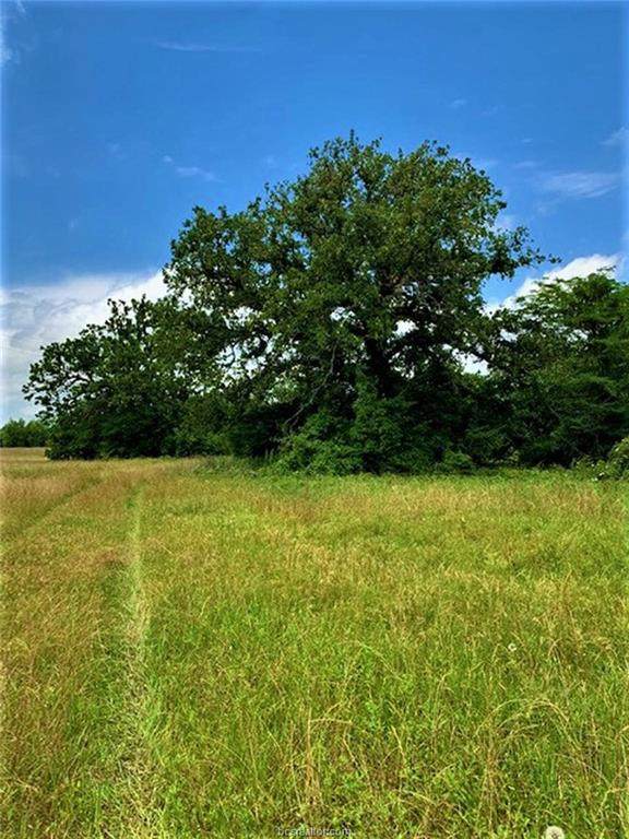 10698 Fm 1227 Road - Photo 1
