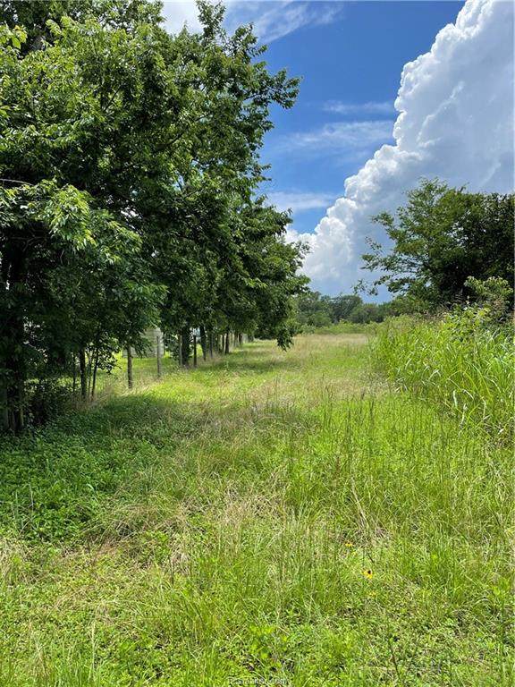 16616 County Road 438 - Photo 1