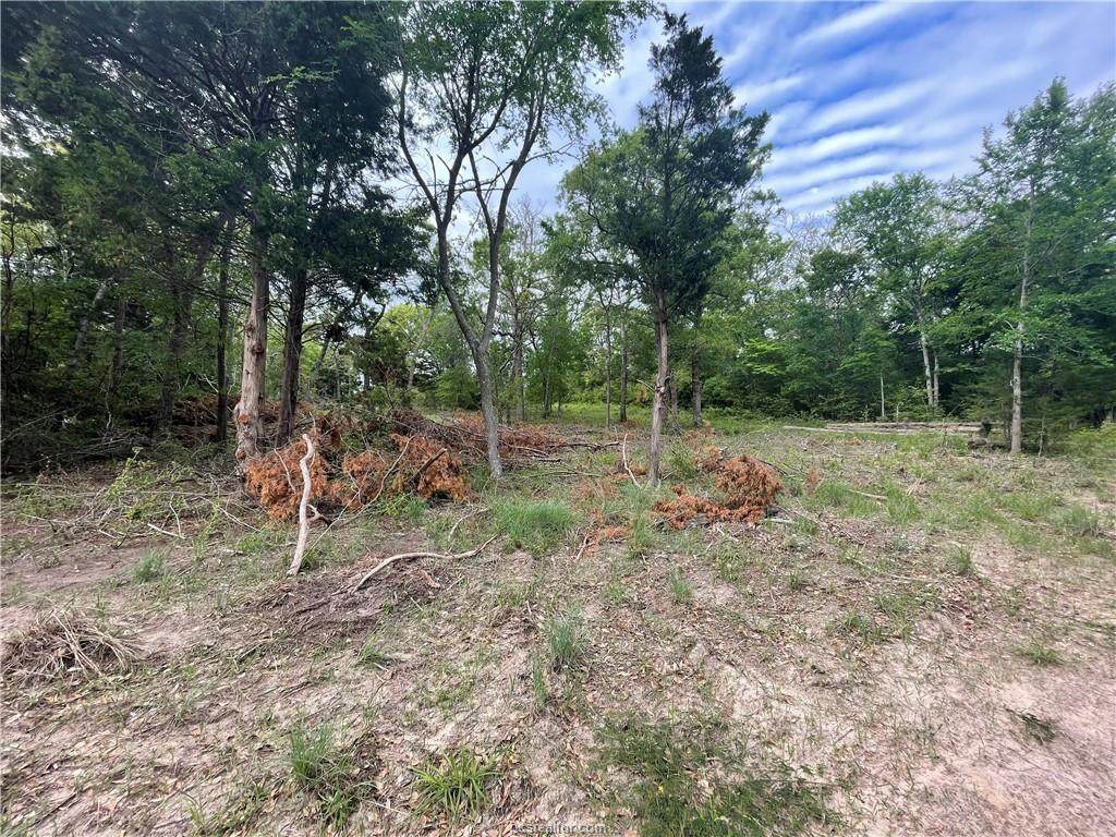 0000 Lakeview - Photo 1